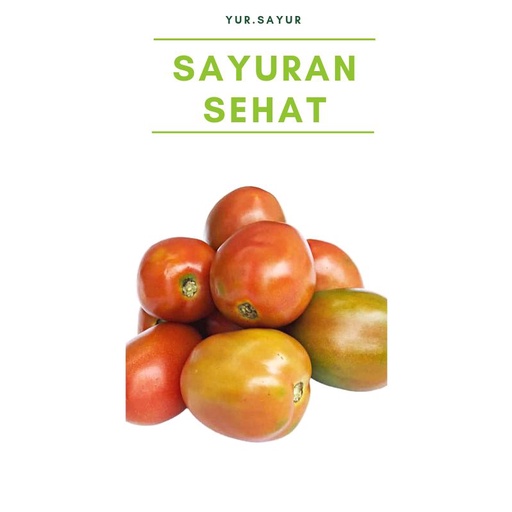 

TOMAT SEGAR TOMAT MERAH SUPER 500 GRAM