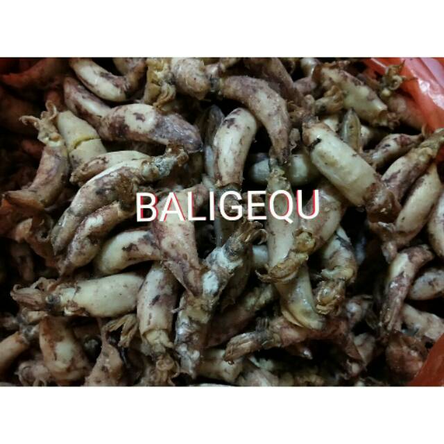 

Cumi Medan 500 Gram