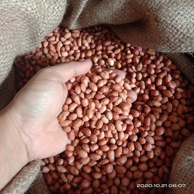 

Kacang Tanah / kulit / 500 gr