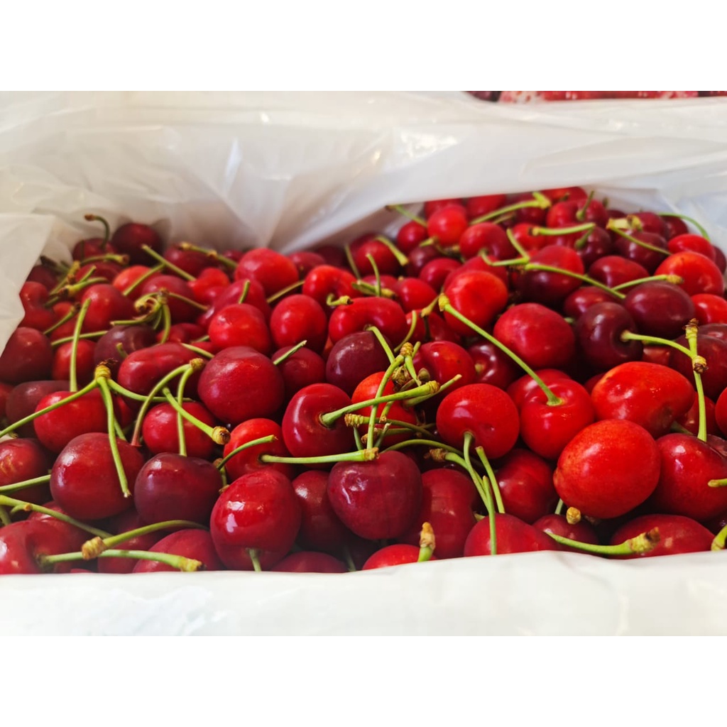 CHERRY CANADA