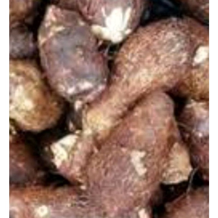 

ubi talas murah pulen 1kg