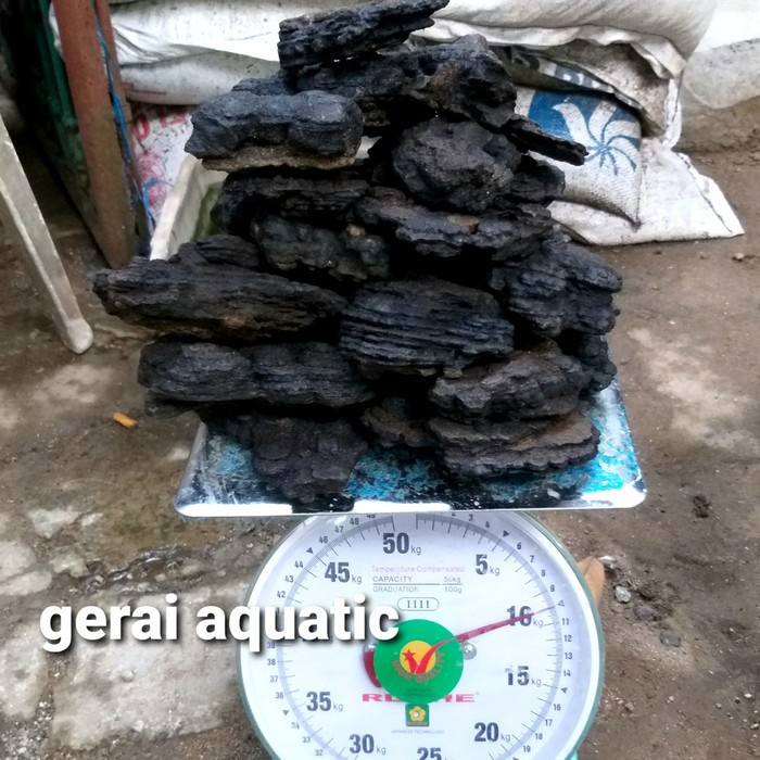 1karung batu besi unzan stone aquascape hardscape aquarium