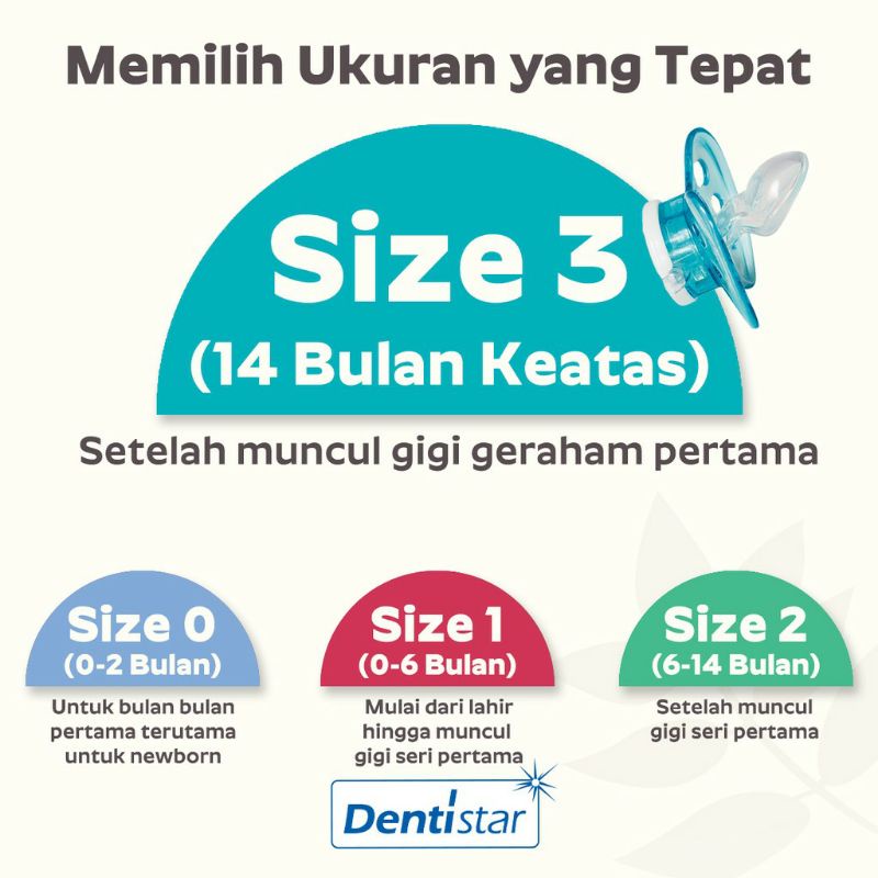 Empeng Dentistar Flat Shield Pacifier