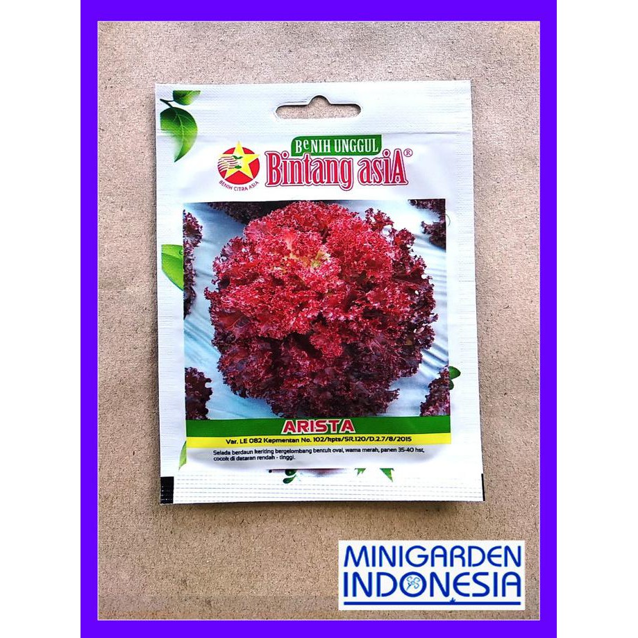 Sale 1 Pack 1000 Benih Selada Merah Arista Bintang Asia Bibit Hidroponik Juara