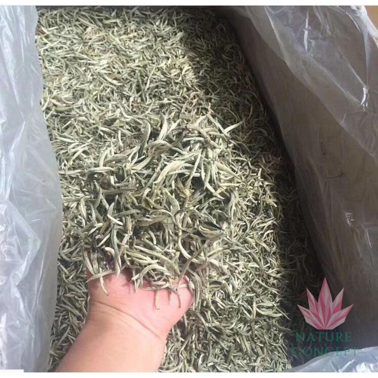 White Tea Bai Cha Silver Needle Premium Quality Asli TERMURAH