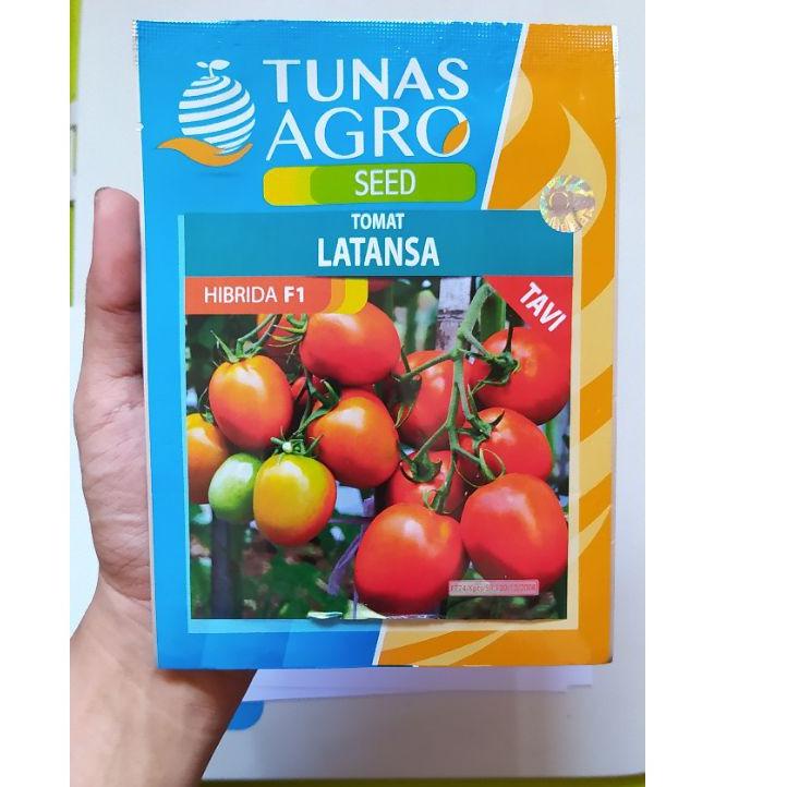 Tren Kekinian.. Benih Tomat Latansa F1 - Bibit Tanaman Unggul Sayur Tomat Hibrida - Biji Tomat Bekua