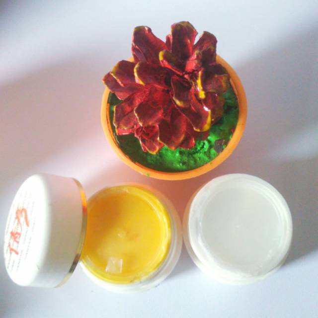 DAY and NIGHT CREAM QIANYAN