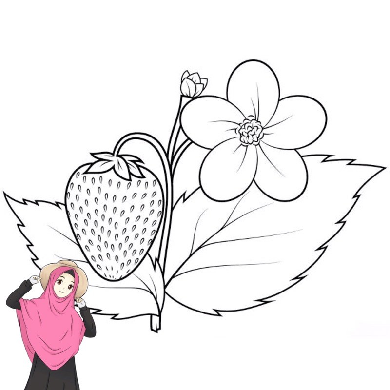 

Gambar Mewarnai Buah Stroberi & Desain untuk melatih kecerdasan Anak-Anak