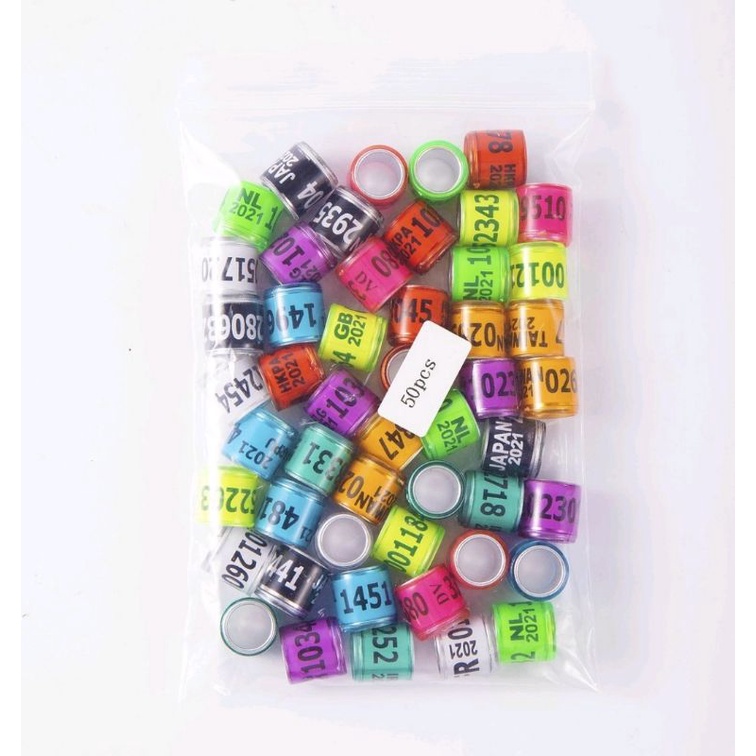 RING MERPATI MURAH 2023