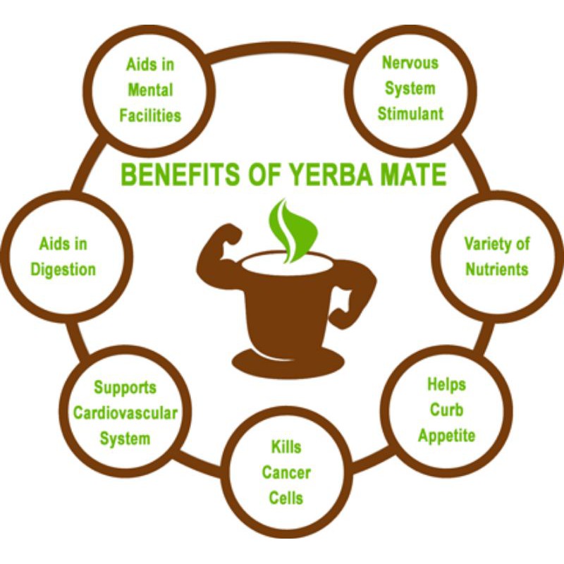 YERBA MATE TEA : BOOST ENERGY &amp; IMPROVE MENTAL FOCUS (30 Tea Bag)