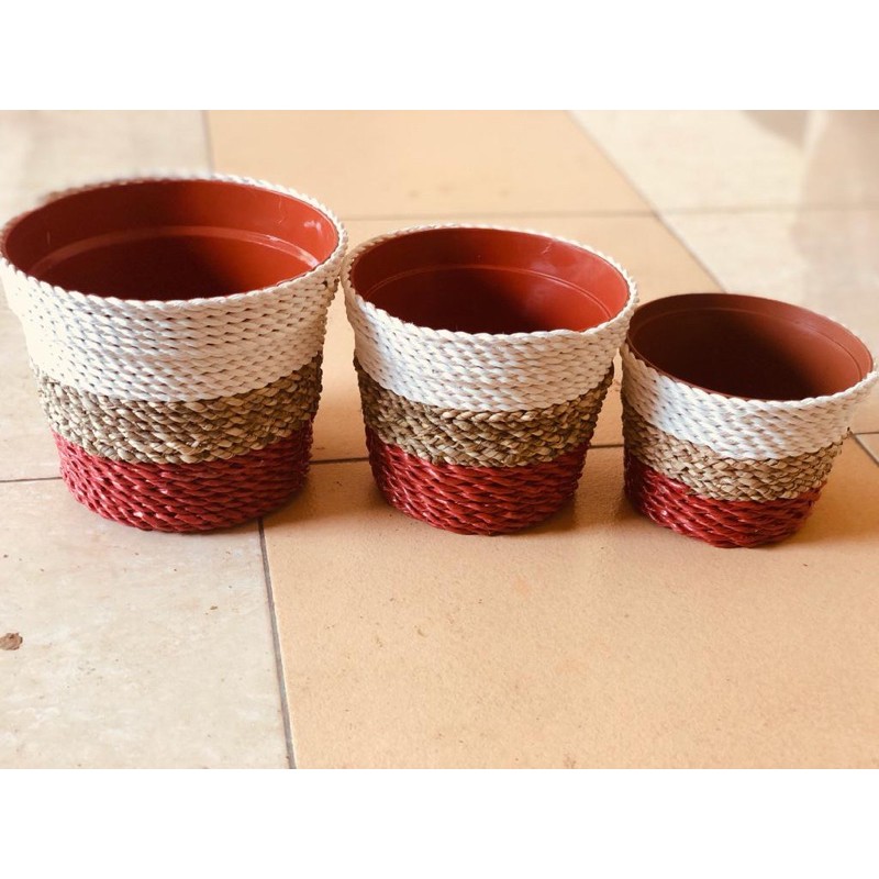 cover pot caladium set isi 3