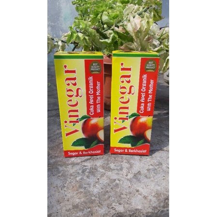 Cuka Apel Organik