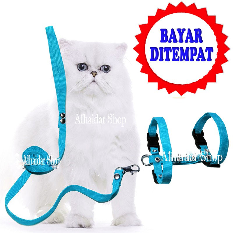 tali tuntun kucing anjing harness H