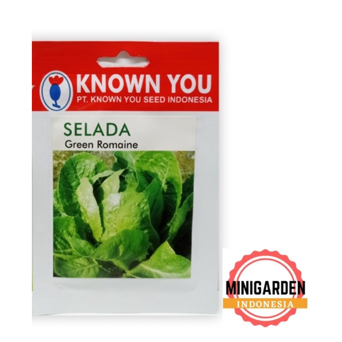 SELADA GREEN ROMAINE 5 GRAM PACK KECIL biji Benih SELADA Hijau Known You Seed