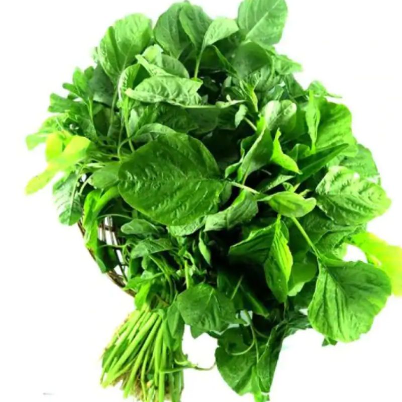 

sayur bayam bersih dan segar