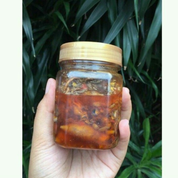 

sambel baby cumi