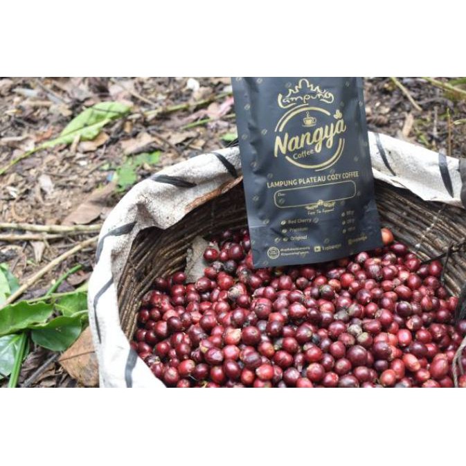 

Kopi Robusta Lampung, Kopi Nangya 100% Kopi Asli + 99 % Petik Merah/Red Cherry 225gram