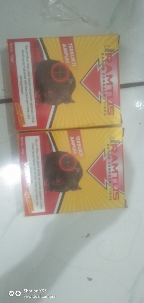 Racun Tikus Paling Ampuh Mati Kering Asli Tidak Bau Original Bukan Cair Promo Ramtus Bisa Cod