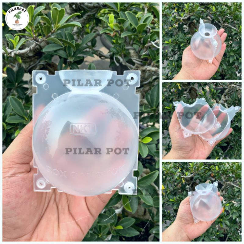 Tempat pot wadah nkt box media cangkok 8 cm bening - SATUAN KECIL