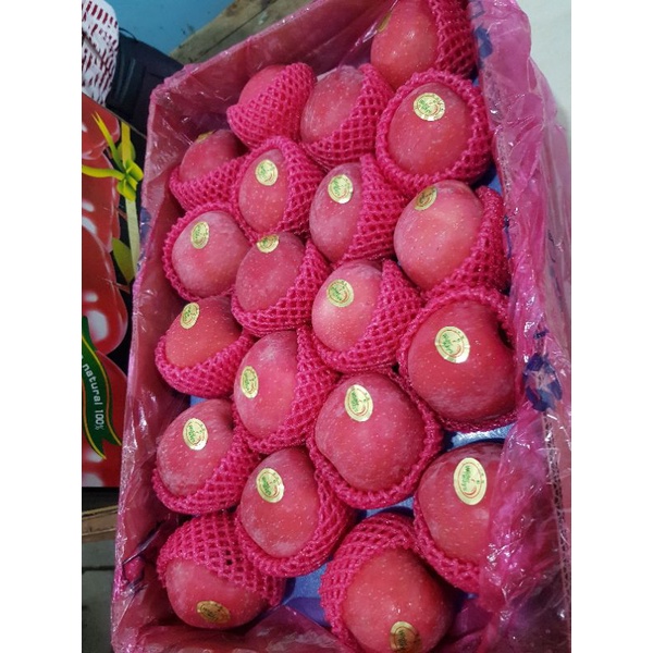 

Apel Fuji rosy wider premium