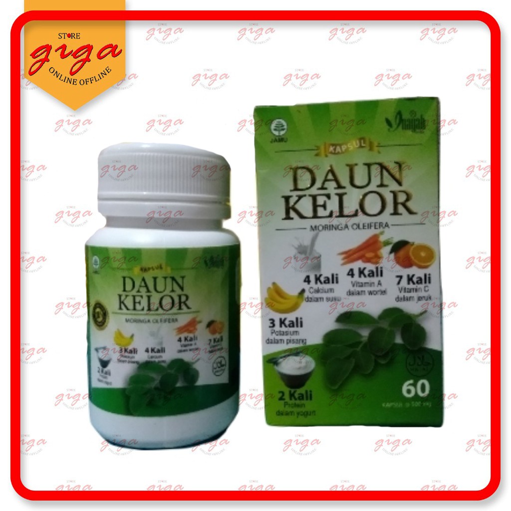 Kapsul Herbal Daun Kelor Inayah