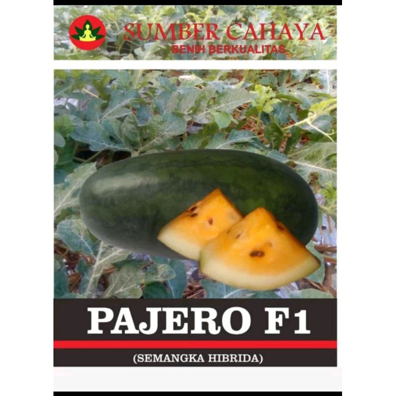 

semangka PAJERO buah JUMBO