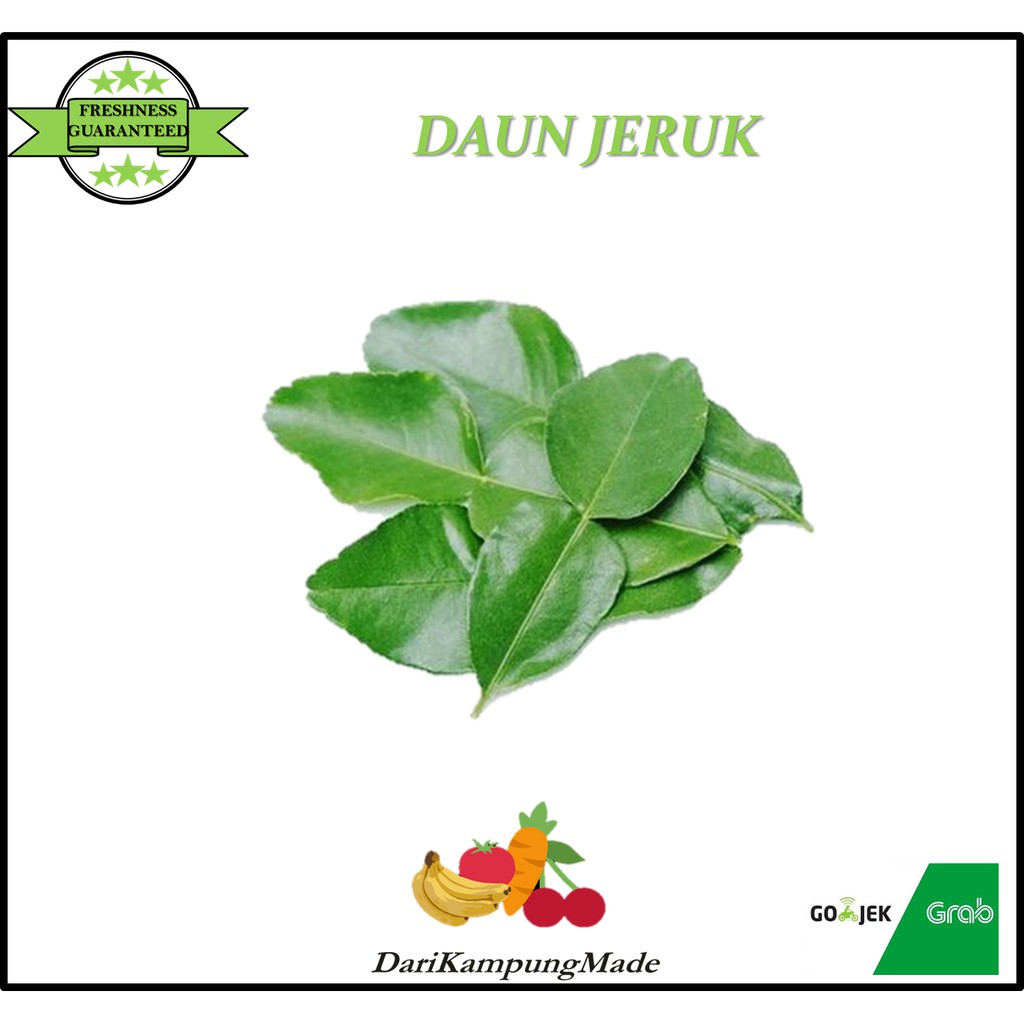 

GRAB / GOJEK ONLY / DAUN JERUK / DIJUAL PER PACK