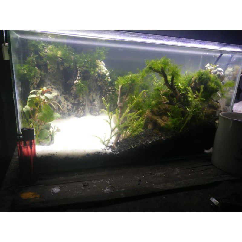 Aquarium Aquascape 2 Waterfall Fullset 40cm/Paket Lengkap Aquascape Waterfall