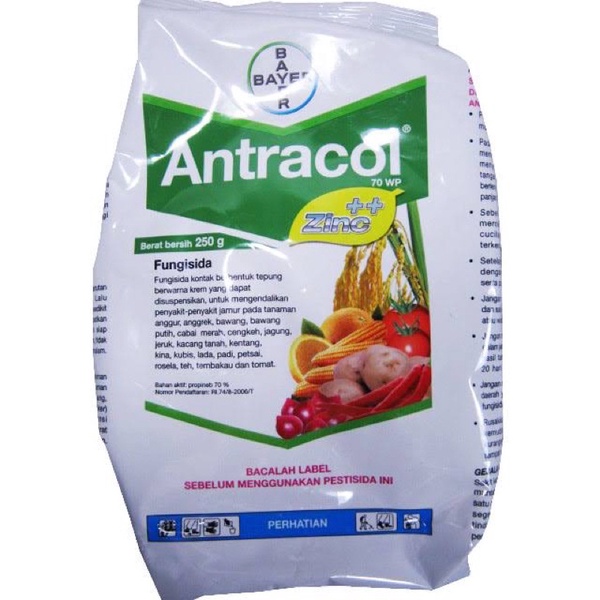 ANTRACOL 1 kg 1000% original