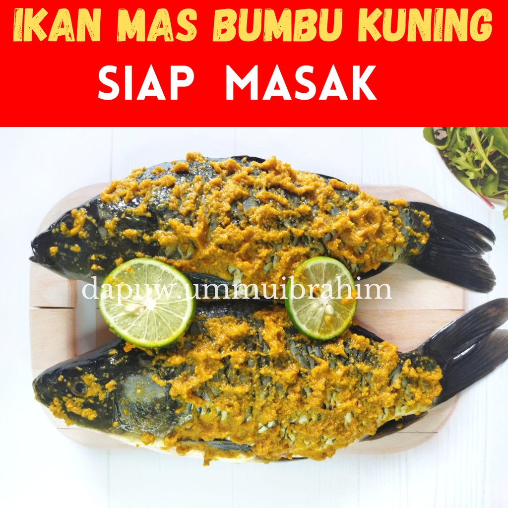 

Ikan Mas Segar Bumbu Kuning Siap Goreng Masak