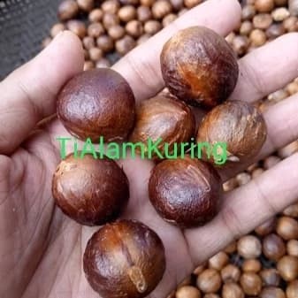 Buah Kering - Buah Pala Kering/ Biji Pala Kering 1 Kg