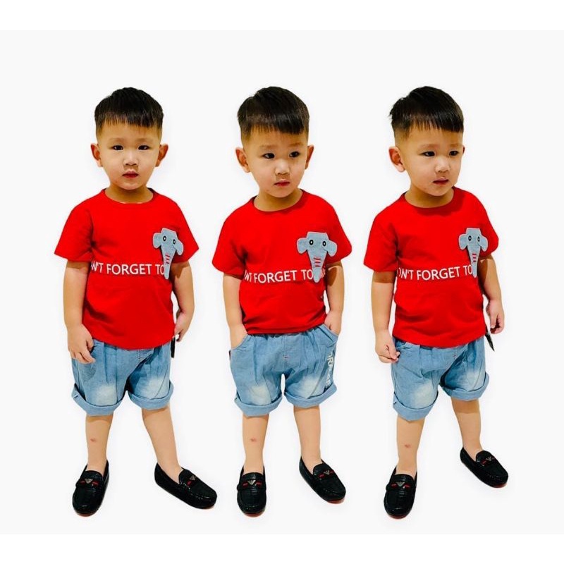 BAJU ANAK/ SETELAN ANAK COWOK IMPORT PREMIUM usia 1-4tahun 2223