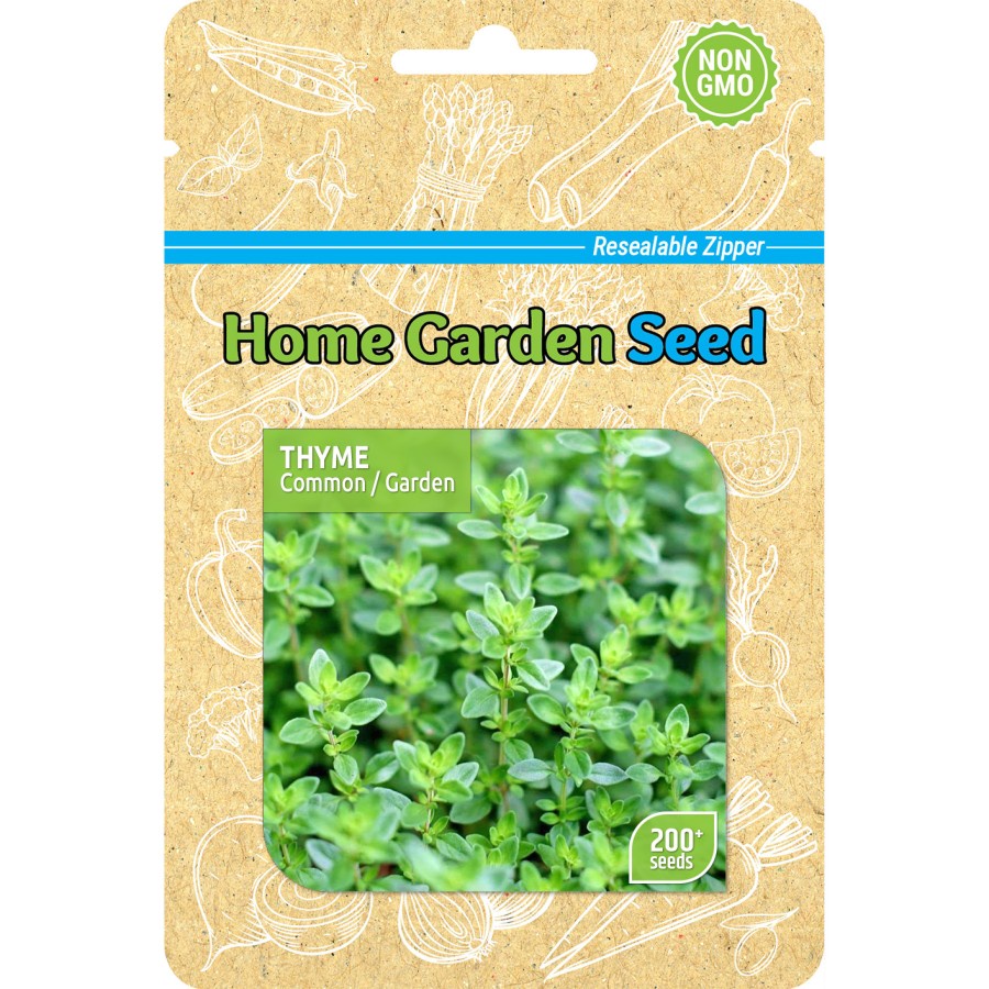 Benih Thyme - Common / Garden - Home Garden Seed