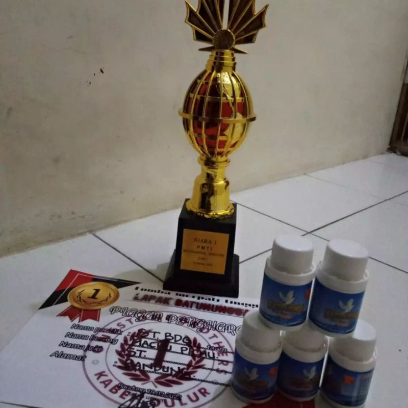 Jamu merpati Master Power isi 100 butir