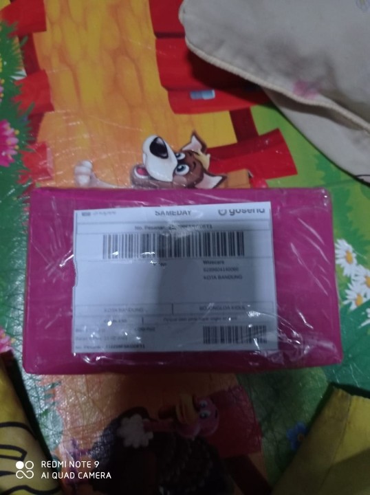 Sepatu Pesanan Luthfi