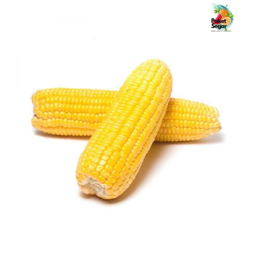 

JAGUNG MANIS / JAGUNG MANIS KUPAS