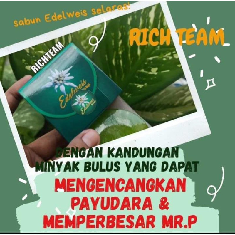 SABUN EDELWEIS MINYAK BULUS