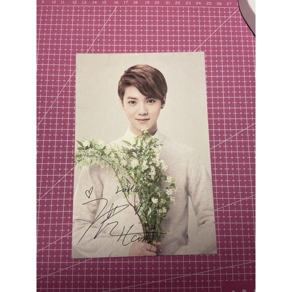 LUHAN NATURE REPBULIC 2016 POSTCARD