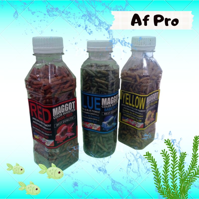 Makanan Ikan chana FISH LOVER MAGGOT BOTOL Red Blue Yellow 60gr