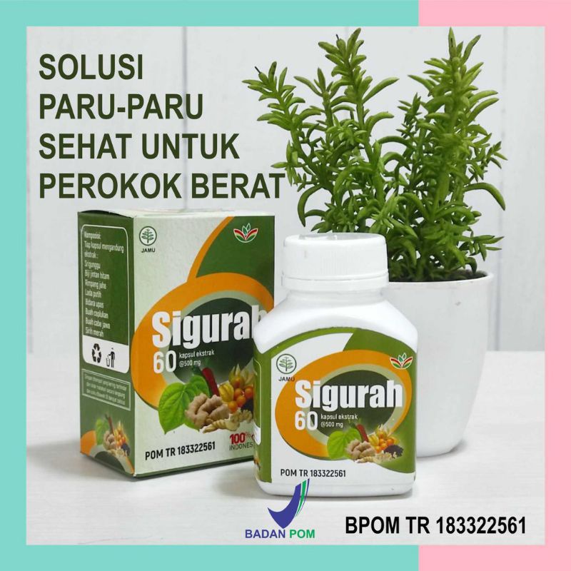 Jual Sigurah Kapsul Sigurah Original Herbal Pernafasan Gurah Batuk Berdahak Sesak Nafas 8328