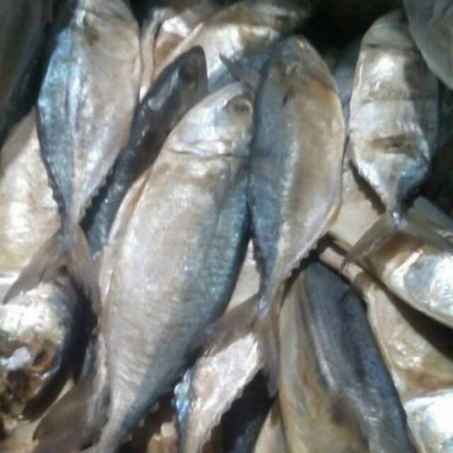 

IKAN ASIN ( ikan peda)