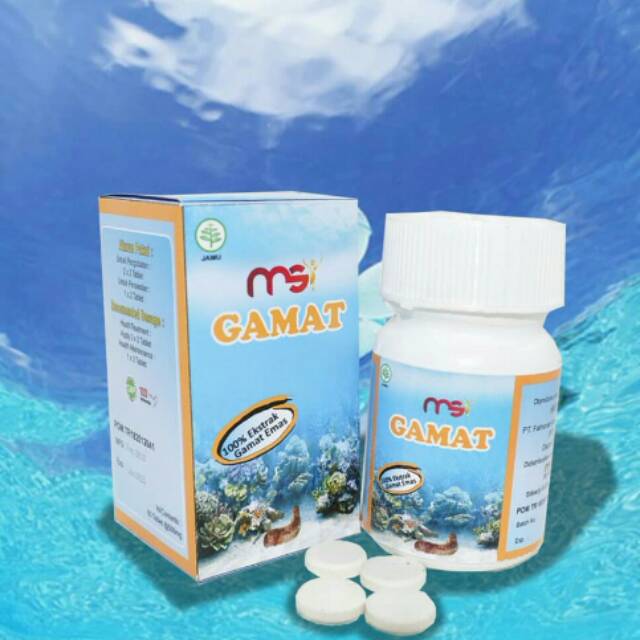 GAMAT TERIPANG MSI