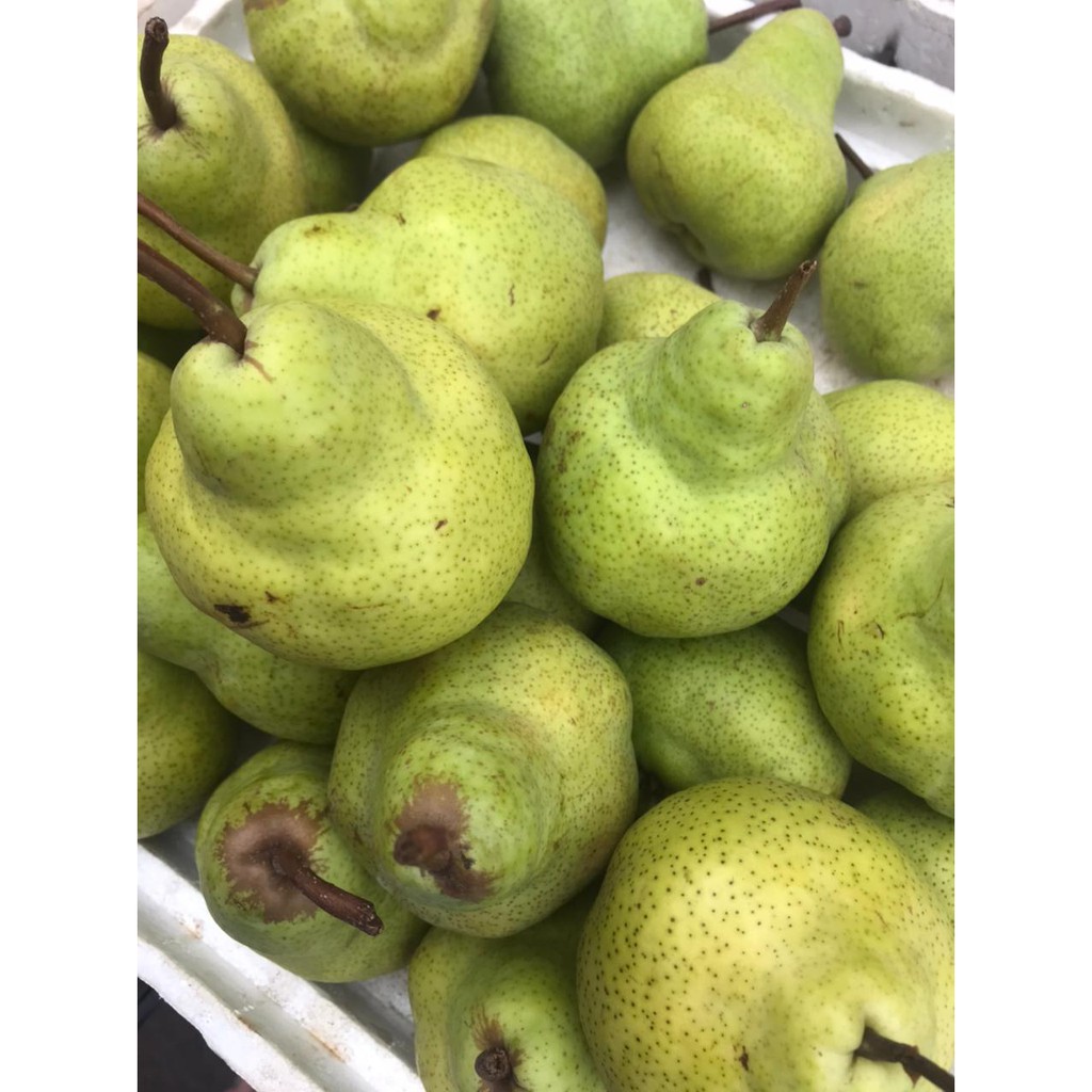 

Pear Hijau