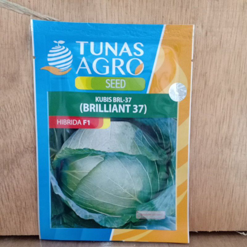 

Kubis BRL-37 BRILLIANT Hibrida F1 Tunas Agri seed