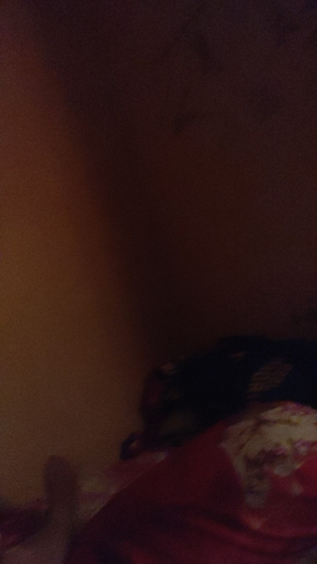 Batik Solo Kemeja Batik Pendek Peksi Maroon Raden Batiksoloamanah 135.000