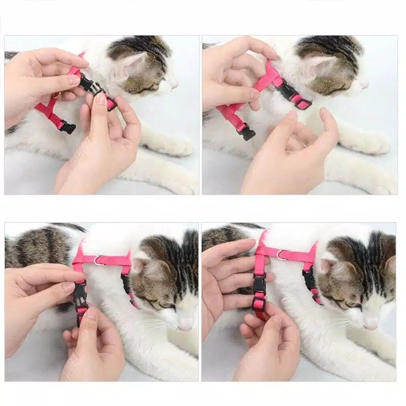 Tali hernes harness polos model H pengait tebal utk kucing ,musang,kelinci,anjing kecil grosir ecer