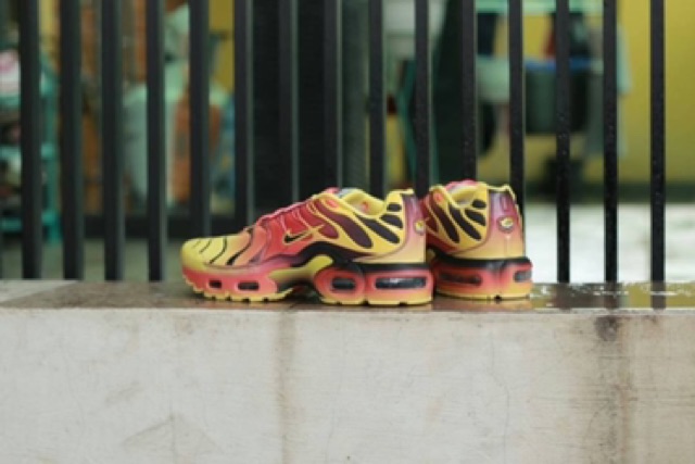 air max plus size 12