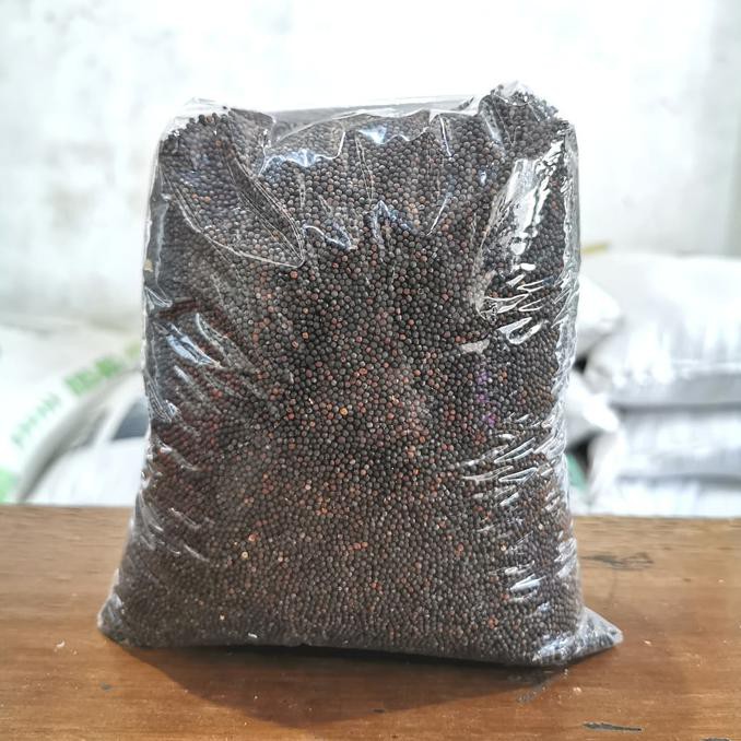 Produk Terbaik] Biji Sawi Pakan Burung Berkicau Lovebird Kenari Pleci Perkutut Kiloan