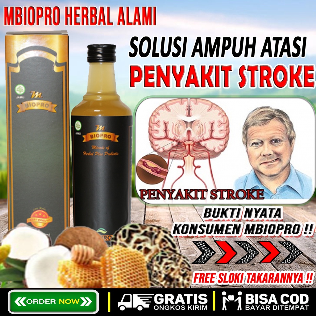 Obat Stroke, Obat Stroke Paling Ampuh, Obat Stroke Ampuh, Obat Stroke Paling Ampuh Cina, Obat Lumpuh