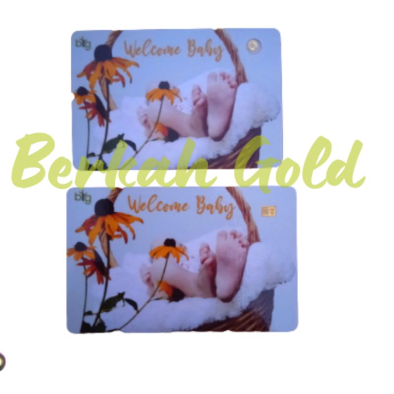 Emas Mini Murni Big Gold 24 K 0.025-0.1 Gram Logam Mulia Edisi Baby